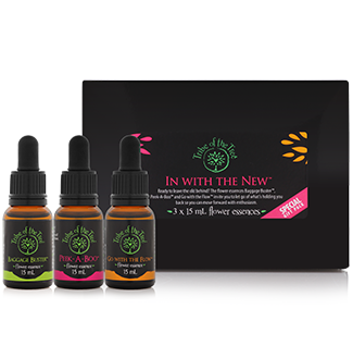 In with the New Flower Essence Kit, comprising Baggage Buster, Peek-A-Boo and Go with the Flow flower remedies