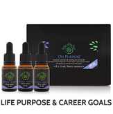 On Purpose Flower Essence Kit, containing Destiny Calls, Treasure Hunter and Connection Creator flower remedies