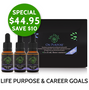 Christmas savings on On Purpose Flower Essence Kits, containing Destiny Calls, Treasure Hunter and Connection Creator flower remedies