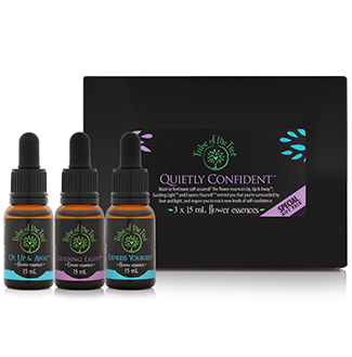 Quietly Confidence Flower Essence Kit, consisting of Up, Up & Away, Guiding Light, and Express Yourself flower remedies to support confidence, courage and self-expression