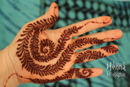 Artistic Organic Henna - 2016 Crop