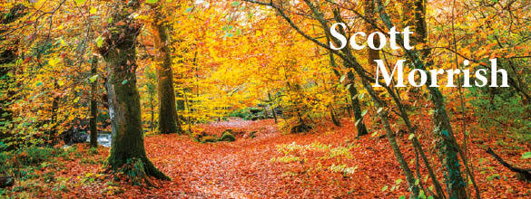 homepage-topbanner-right.jpg