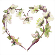 BS77424 - Hellebore Heart (6 bagged blank cards)