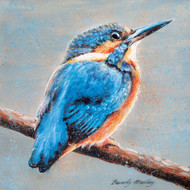 BM76819- Kingfisher (6 bagged blank cards)