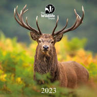 CAL23WT - The Wildlife Trusts 2023 Calendar (6 unbagged calendars)