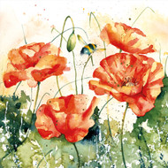 RT84090 - Bees and Poppies (6 bagged blank cards)
