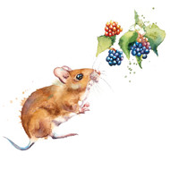 RT84096 - Mouse and Blackberries (6 bagged blank cards)