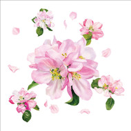 BS77148 - Apple Blossom Dance (6 bagged blank cards)