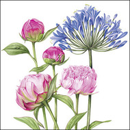 BS77482 - Agapanthus and Peonies (6 unbagged blank cards)