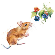 RT84096 - Mouse and Blackberries (6 unbagged blank cards)