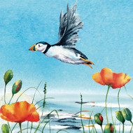 RT84427 - Poppies and Puffin (6 unbagged blank cards)