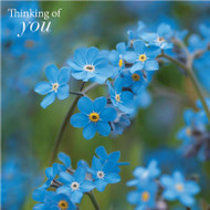 SM14220Y - Forget-me-nots (6 unbagged thinking of you cards)