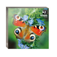 WAL91097 - TWT Amazing Insects (6 wallets)