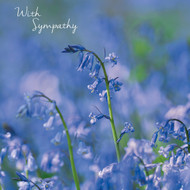 SM14260S - Bluebell Haze (6 unbagged sympathy cards)