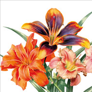 BS77255 - Day Lilies (6 unbagged blank cards)