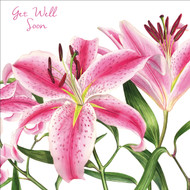 BS77257G - Stargazers (6 unbagged get well cards)