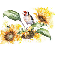 RT84272 - Goldfinch and Sunflowers (6 bagged blank cards)