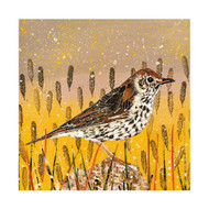 AS96282 - Song Thrush (6 bagged blank cards)