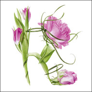 BS77418 - Tulip and Rose Shoe (6 unbagged blank cards)