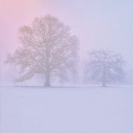 SM14272 - Settled Snow, Sunrise (6 unbagged blank cards)