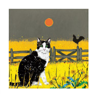 AS96321 - Farm Cat & Dandelions (6 bagged blank cards)