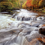SM14271 - Autumn River (6 bagged blank cards)