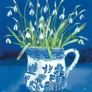 CH33329 - Snowdrops in the Willow Pattern Jug (6 bagged blank cards)
