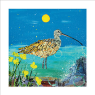 AS96361 - Cornish Curlew (6 unbagged blank cards)