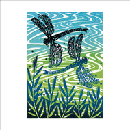 MA86341 - Dragonflies (6 bagged blank cards)