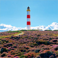 EF12274 - Heather & Lighthouse (6 unbagged blank cards)
