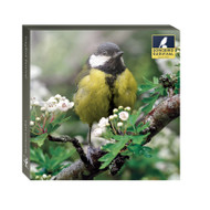 WAL00171 - Songbird Survival (6 wallets)
