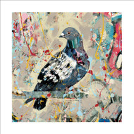 AS96423 - Urban Bird(6 unbagged blank cards)