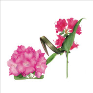 BS77013- Rhododendron Slipper (6 bagged blank cards)