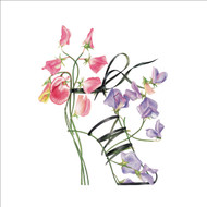 BS77504- Sweet Pea Sandal (6 bagged blank cards)