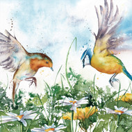 RT84451 - Flying Over Daisies (6 bagged blank cards)