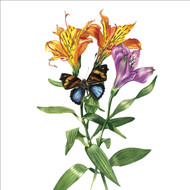 BS77473 - Butterfly and Flowers (6 unbagged blank cards)