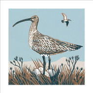 JO59528 - Curlew on guard (6 unbagged blank cards)