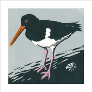 JO59532 - Oystercatcher (6 unbagged blank cards)