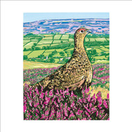 LP99435 - Red Grouse (6 unbagged blank cards)