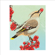 LP99436 - Waxwing & Rowan Berries (6 unbagged blank cards)