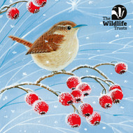 TWT91042 - Wildlife Trust mixed ART 2025 153mm pack 10pk (TWT, 6 Christmas packs)