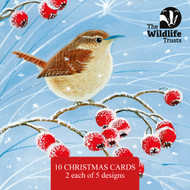 TWT91042 - Wildlife Trust mixed ART 2025 153mm pack 10pk (TWT, 6 Christmas packs)