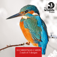 TWT91026 - Wildlife Trust mixed PHOTO 2025 153mm pack 10pk (TWT, 6 Christmas packs)