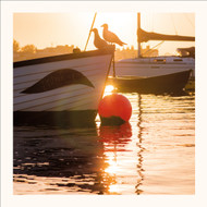 SM25029 - Sundown and Seagulls (6 bagged blank cards)