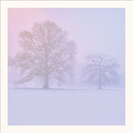 SM25015 - Snow and Sunrise (6 bagged blank cards)