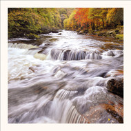 SM25035 - River Dart, Autumn (6 unbagged blank cards)