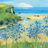 CH33556 - Agapanthus at Mawgan Porth (6 bagged blank cards)