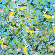 CH33559 - Blue Tits and Blossom (6 bagged blank cards)