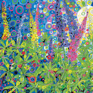 SR85566 - Lupins (6 bagged blank cards)