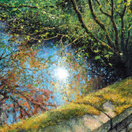 DO66600 - Up from the woods (6 bagged blank cards)